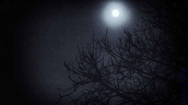 Jedna na dan, 27. decembar 2012: Mesec je bleda fleka boje olova