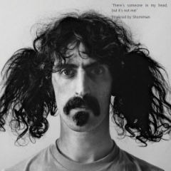 Kad administrator zadrema, onda mu Zappa celu noć svira na uvce...