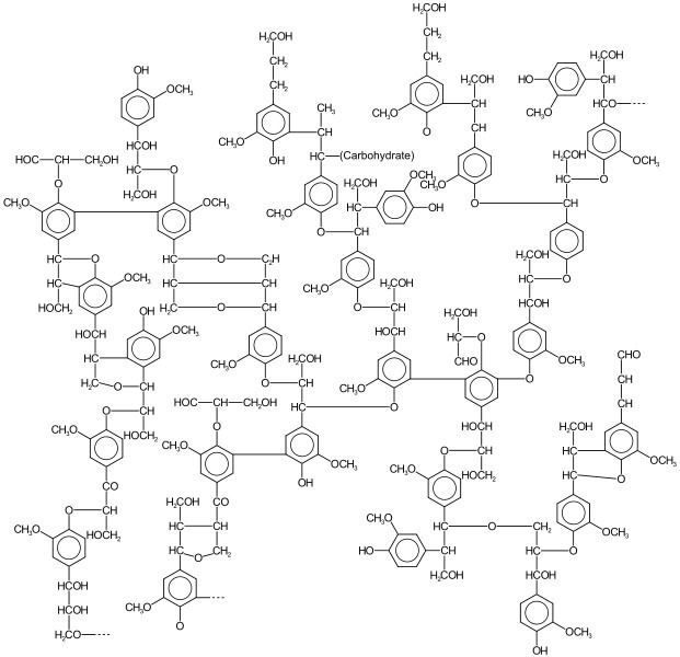 Moguća molekularna struktura lignina (zdipljeno sa Vikipedije)